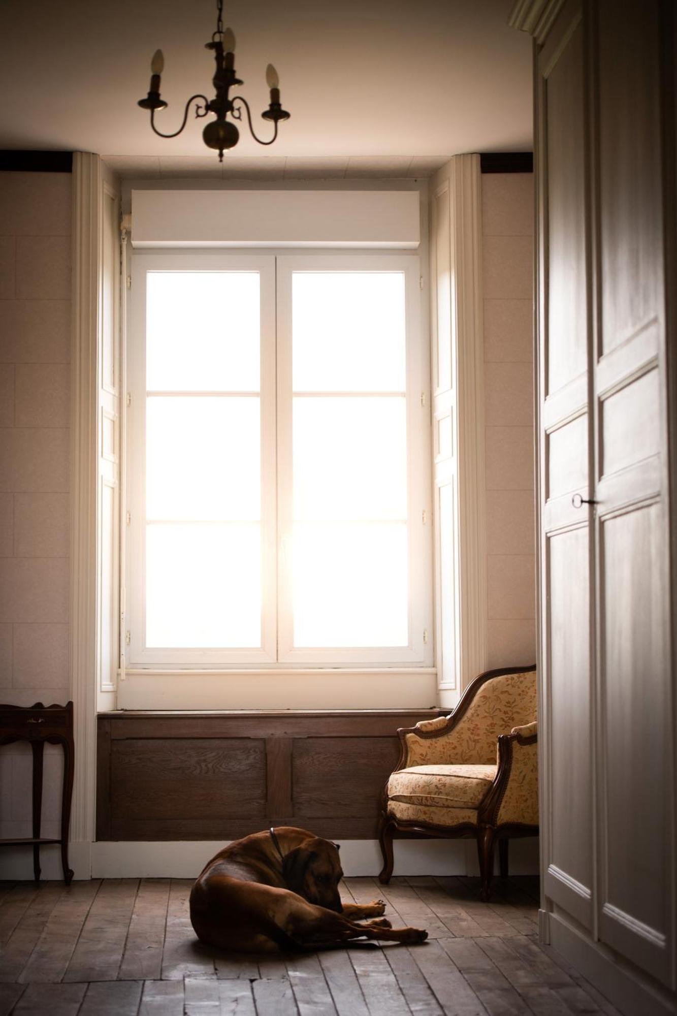 Sanxay Domaine De La Briouse Bed & Breakfast エクステリア 写真