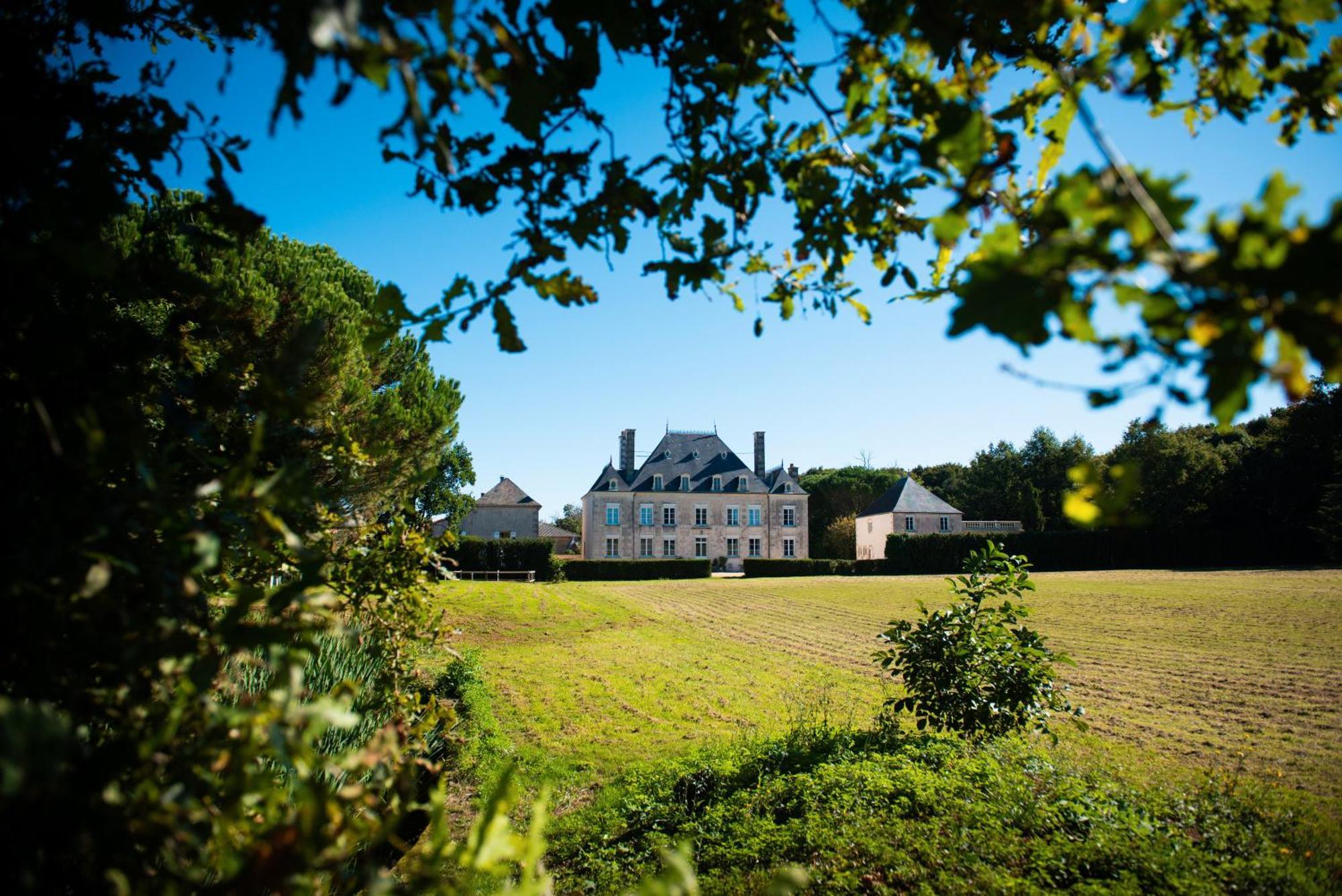 Sanxay Domaine De La Briouse Bed & Breakfast エクステリア 写真