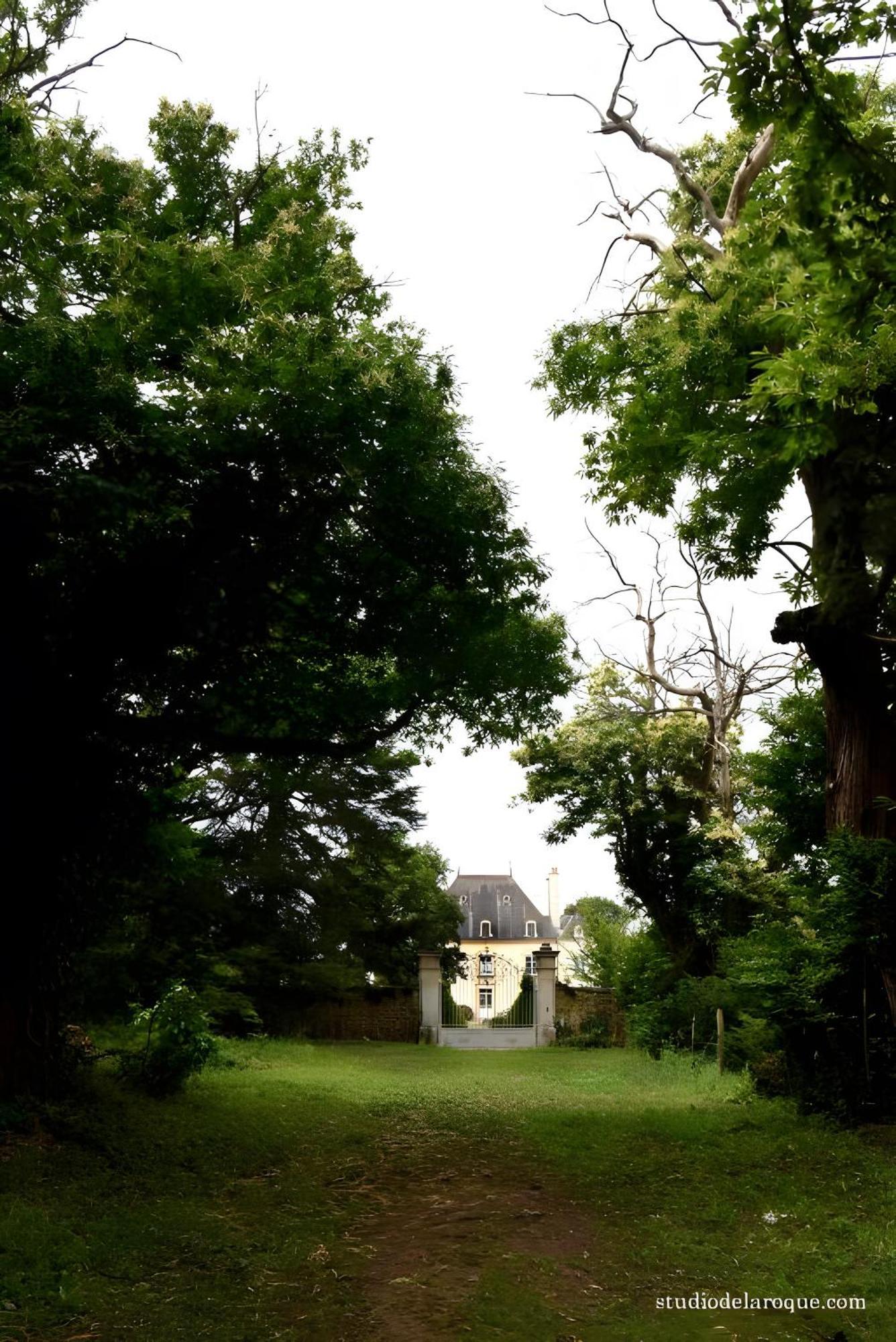 Sanxay Domaine De La Briouse Bed & Breakfast エクステリア 写真