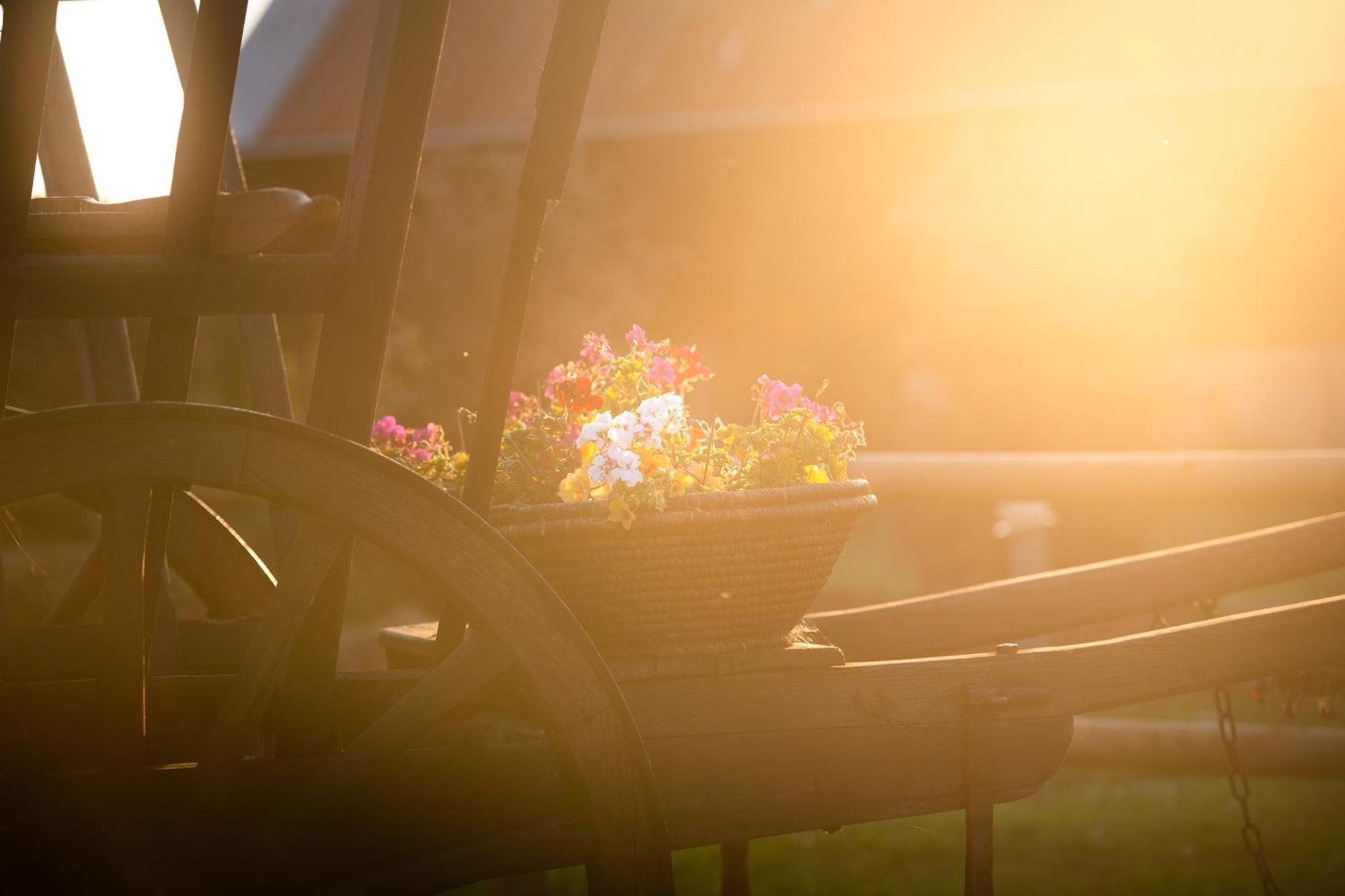 Sanxay Domaine De La Briouse Bed & Breakfast エクステリア 写真