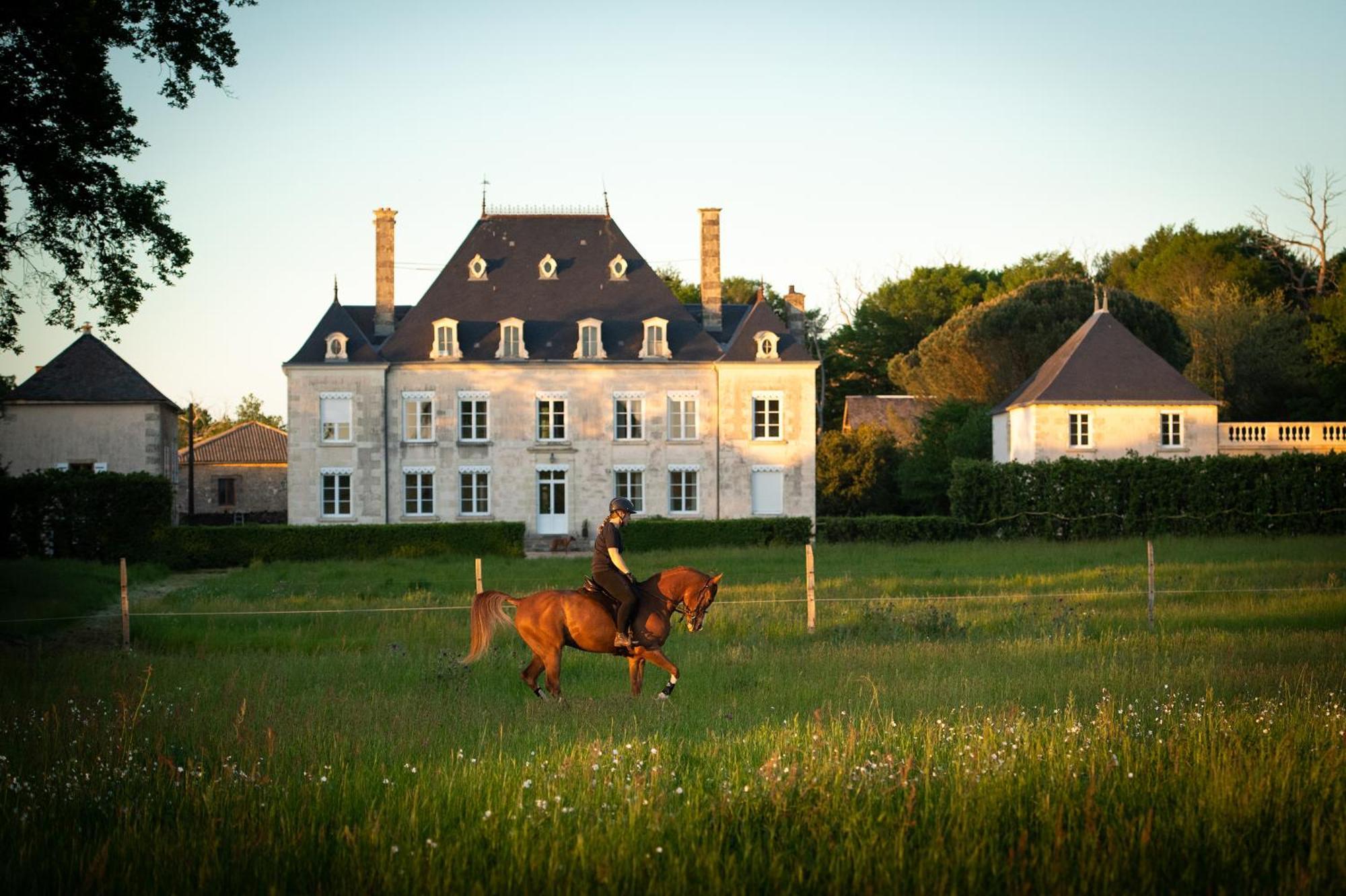 Sanxay Domaine De La Briouse Bed & Breakfast エクステリア 写真