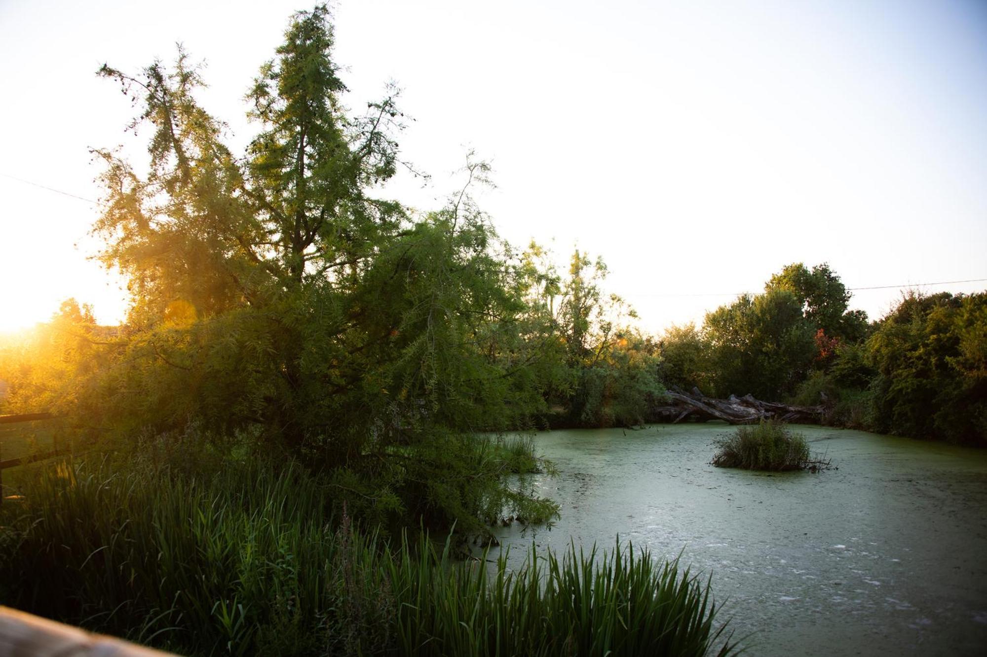 Sanxay Domaine De La Briouse Bed & Breakfast エクステリア 写真