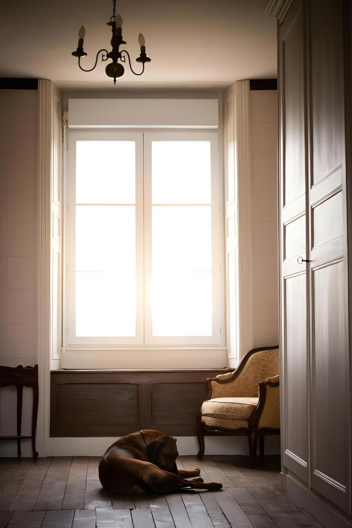 Sanxay Domaine De La Briouse Bed & Breakfast エクステリア 写真