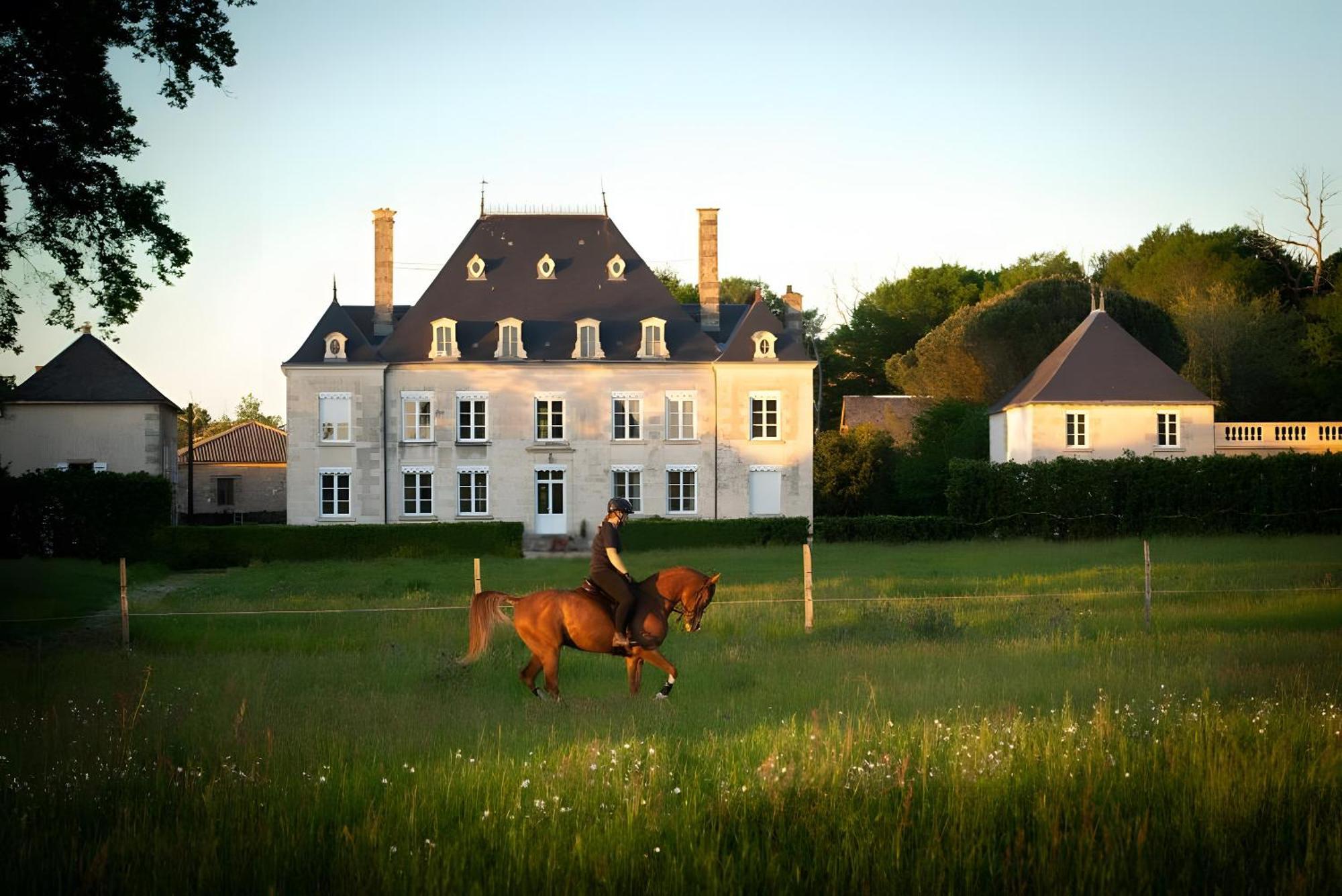 Sanxay Domaine De La Briouse Bed & Breakfast エクステリア 写真