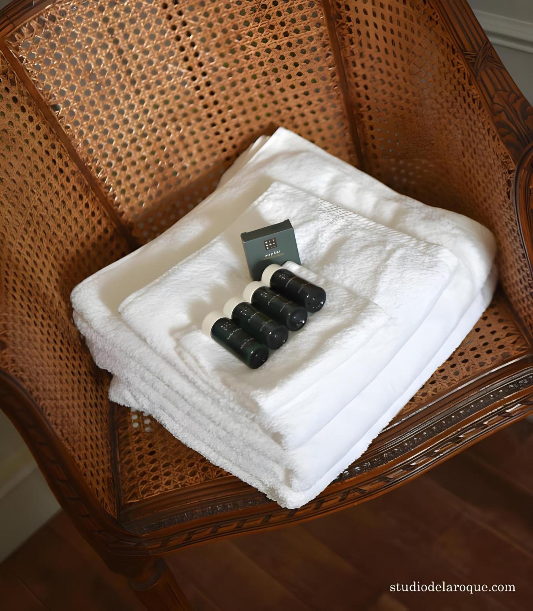 Sanxay Domaine De La Briouse Bed & Breakfast エクステリア 写真